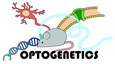 Lasers for Optogenetics