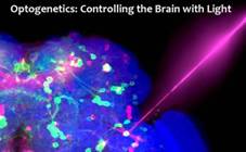 OPTOGENETICS