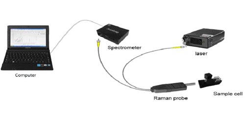 Raman Spectra of solutions